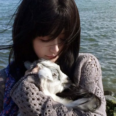 熊猫的故事